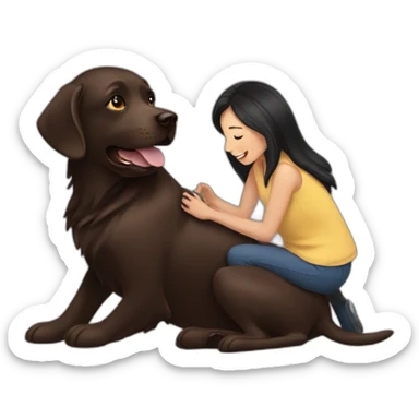 Chocolate labrador playing with woman long black hair sticker