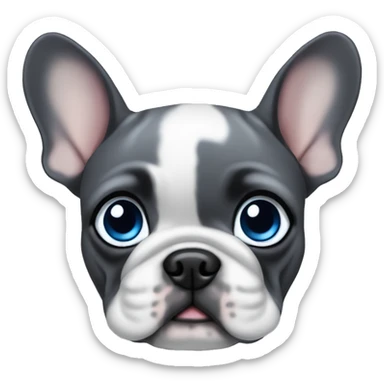 Dark Gray French Bulldog puppy with blue eyes sticker