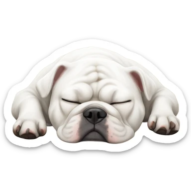 White bulldog sleeping  sticker