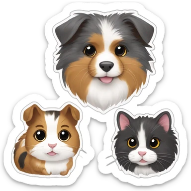 Guinea pig with a tabby cat and a miniature Australian Shepard tri color sticker