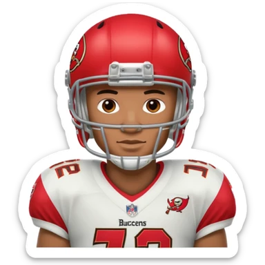 Tampa buccaneers  sticker