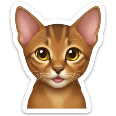 abyssinian kitten sticker