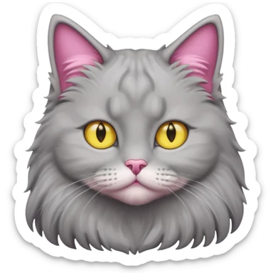 grey fluffy british long hair cat with yellow eyes straight fluffy hair rosa ears and grey rosa nose sticker