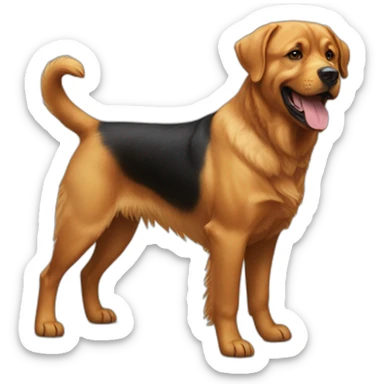 Rottweiler and golden retriever mix sticker