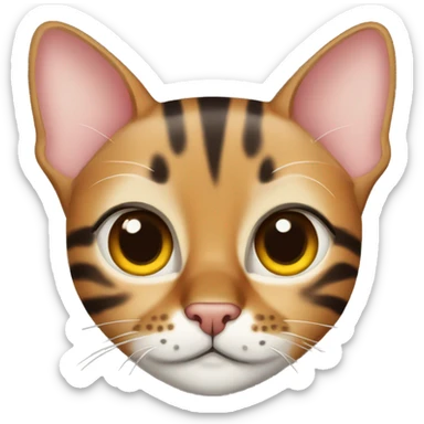 Cute Bengal Cat  sticker