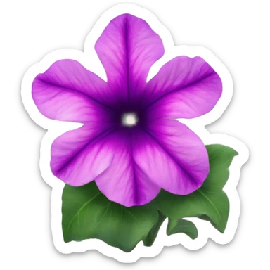 Starry sky petunia sticker