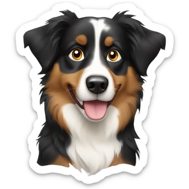 Tri color Australian shepherd  sticker