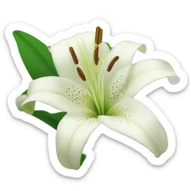 Lily sticker