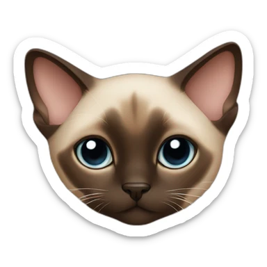 Siamese cat Hug boy eye brown sticker