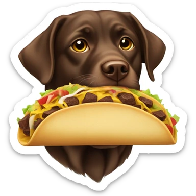 Chocolate lab with a taco sticker
