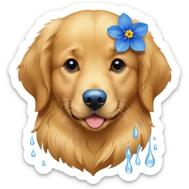 Golden retriever with a blue flower sticker
