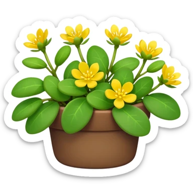 purslane bush plant sticker
