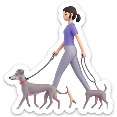 Beautiful Asian girl walking a solid grey Italian greyhound with absolutely no white markings, completely grey dog sticker