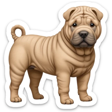 Grey shar pei dog standing sticker