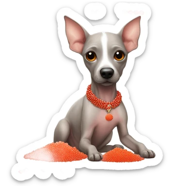 American Hairless Terrier eating red caviar  sticker