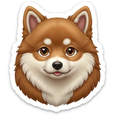 Brown pomsky with white feet sticker