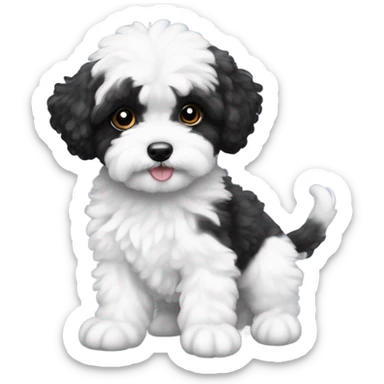 Maltipoo black and white girl puppy sticker