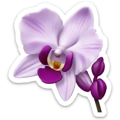 orchids sticker