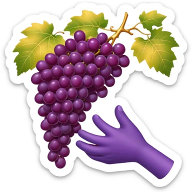 minimal-shaded emoji of a hand picking a ripe shiny purple grape, vineyard under golden sunlight, luxury and elegance sticker