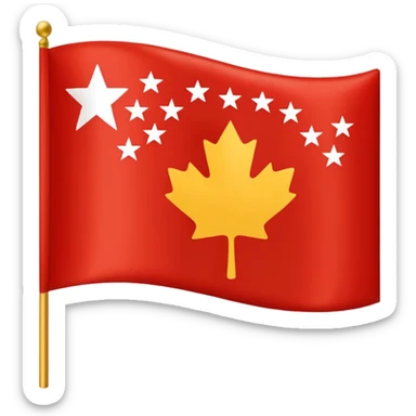 Chinar flag it has 80,000 stars sticker