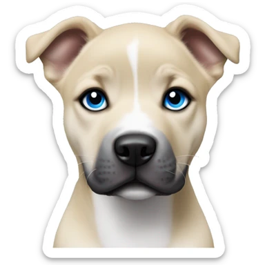 Blonde and black pitbull husky puppy with pointed ears and blue eyes  sticker