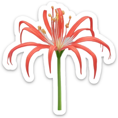 spider lily flowet sticker