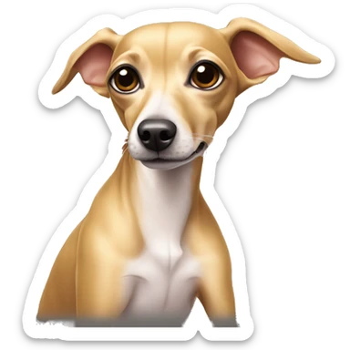 full body golden italian greyhound chihuahua sticker