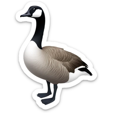 Canada goose sticker
