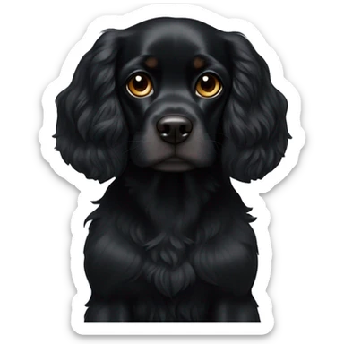 Small completely black king spaniel with black fur on his whole face and white fur on chest sticker
