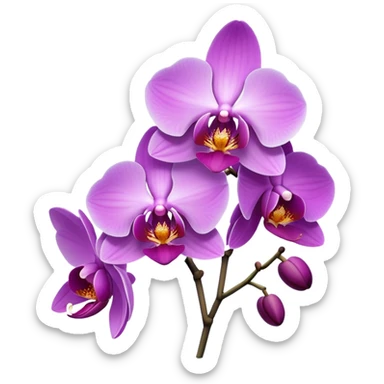 Orchid purple  sticker