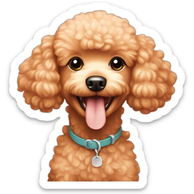 Happy little toy apricot poodle sticker