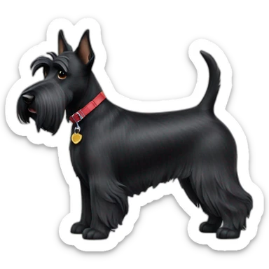 scottish-terrier-dog-walking sticker