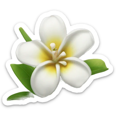Flor jazmín sticker