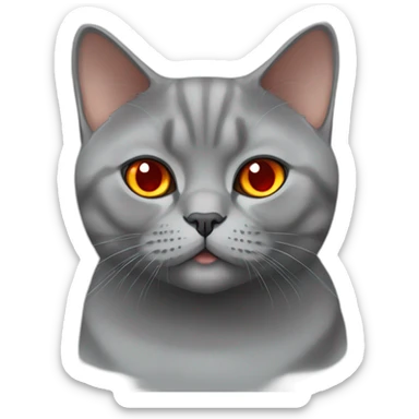 british shorthair cat in red with orange eyes sticker