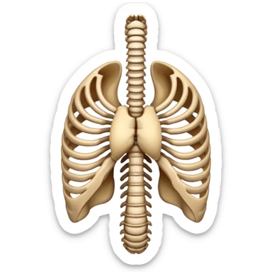 human rib cage sticker