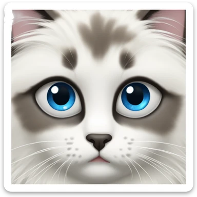 white blue-point ragdoll cat face, blue eyes, fluffy sticker