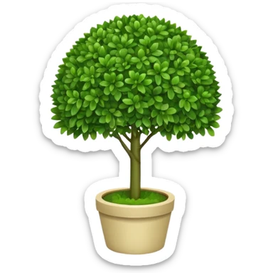 Boxwood sticker