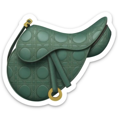 green saddle dior bag sticker