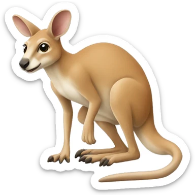 Kangourou  sticker