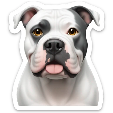american bully white with grey patches sticker