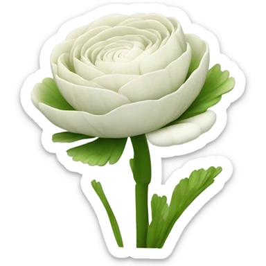 Ranunculus flower sticker