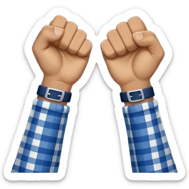 two raised hands in celebration with dark blue check between  sticker