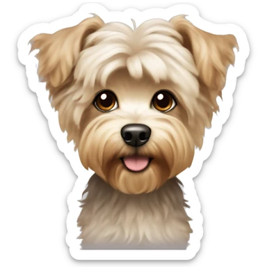 yorkie bichon mix. dog with light tan curly fur, very very long ears down. dark brown eyes, mouth closed.  sticker