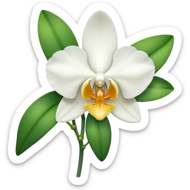 orchid sticker