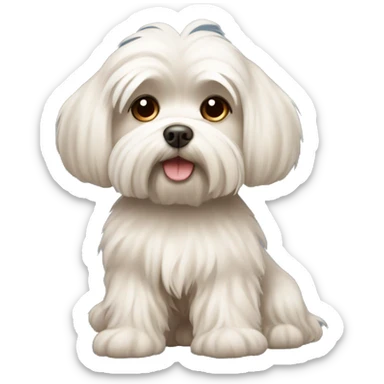 maltese dog with brown in his fur sticker