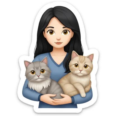 black hair girl holding a grey longhair cat and a british longhair golden cat and two british white longhair cat sticker