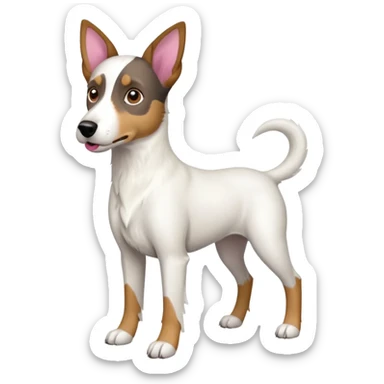 a full body large white floppy eared parson russell looking dog the size of a kelpie with light brown ears and a light brown patch on one eye and a large snout sticker