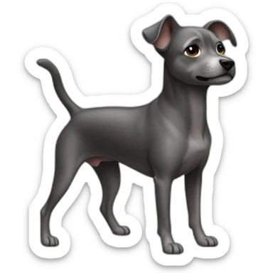 small-dark-grey-dog-standing-on-back-legs sticker
