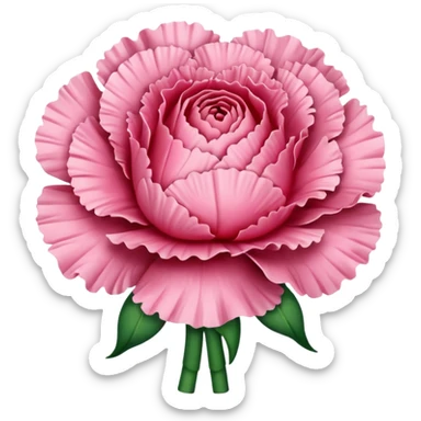 carnation sticker