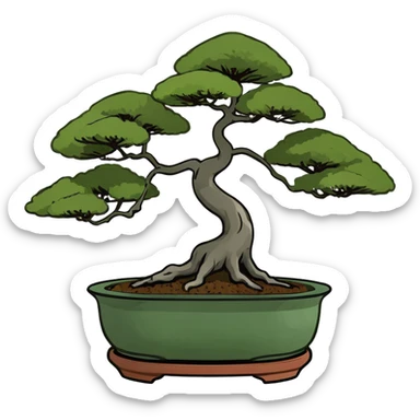 Bonsai with 3 individual dawn redwoods trees in 1 bonsai pot sticker